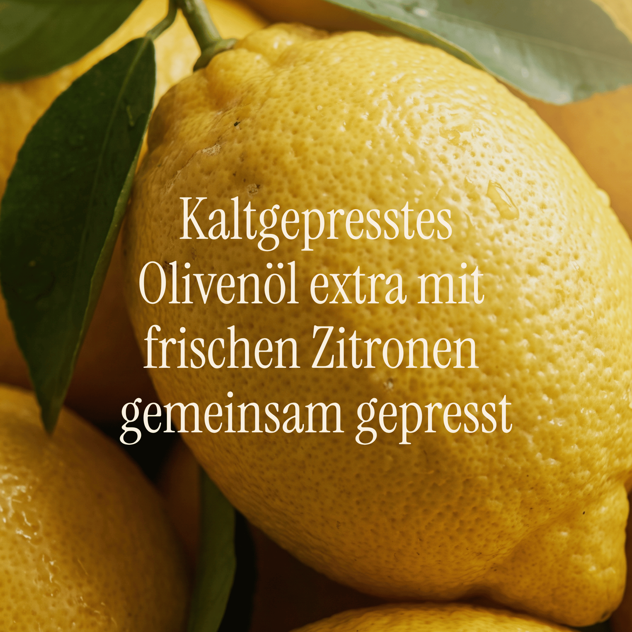 Zitronenöl & Zitrus-Würzöl | Der Frische-Kick Vola Food GmbH - kaltgerpesstes Olivenöl