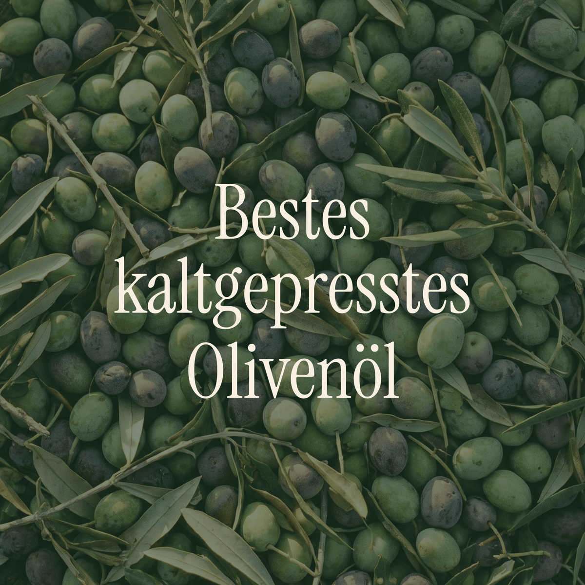 Einfach Alles: Das ultimative Olivenöl Probierpaket Vola Food GmbH - kaltgerpesstes Olivenöl