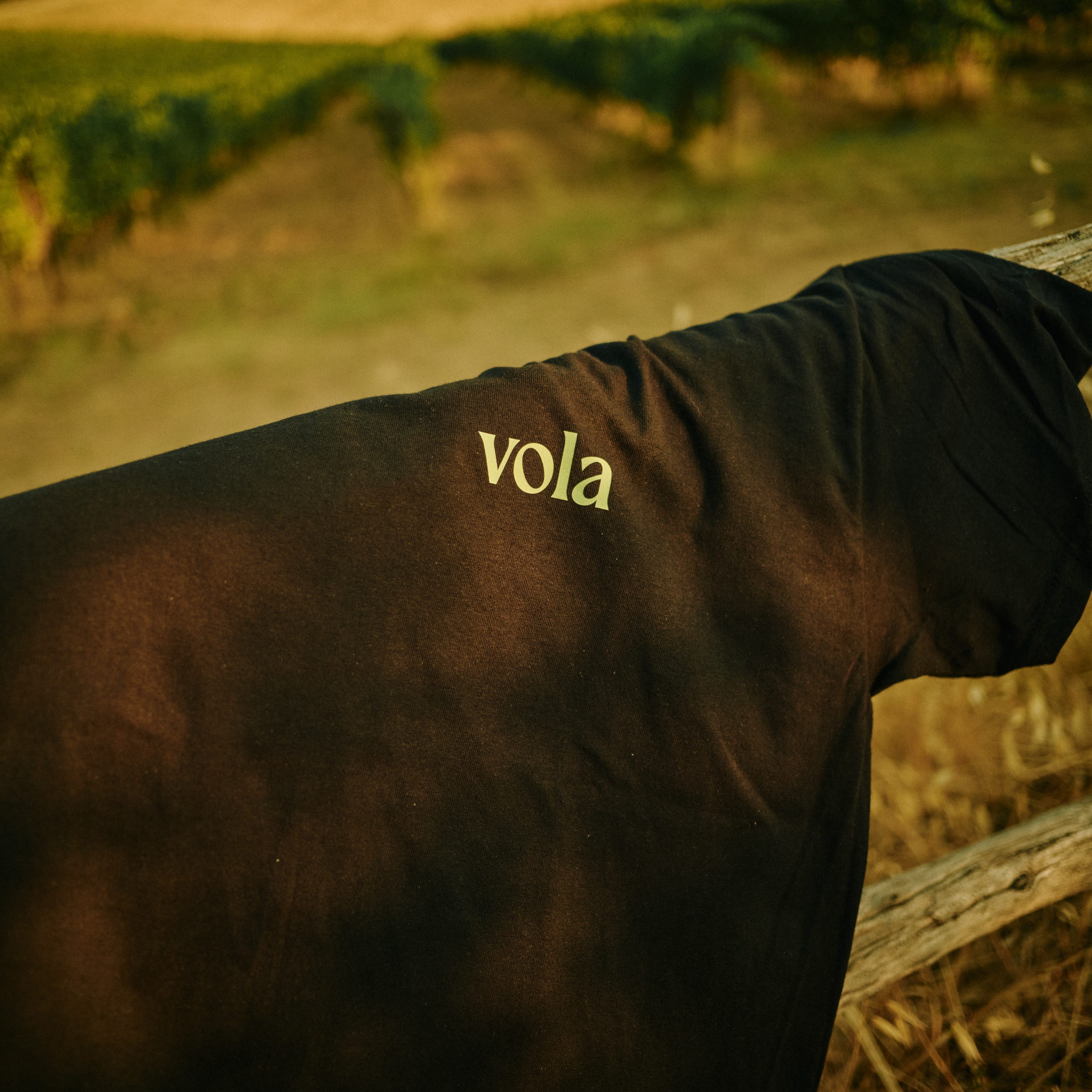 T-Shirt | COLD PRESSED OLIVE OIL ONLY